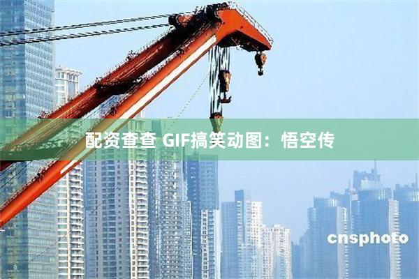 配资查查 GIF搞笑动图：悟空传