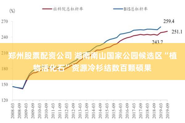 郑州股票配资公司 湖南南山国家公园候选区“植物活化石”资源冷杉结数百颗硕果