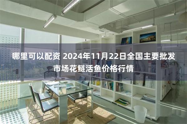 哪里可以配资 2024年11月22日全国主要批发市场花鲢活鱼价格行情