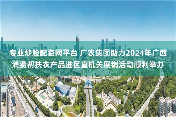 专业炒股配资网平台 广农集团助力2024年广西消费帮扶农产品进区直机关展销活动顺利举办