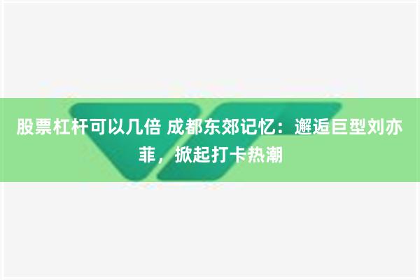 股票杠杆可以几倍 成都东郊记忆：邂逅巨型刘亦菲，掀起打卡热潮