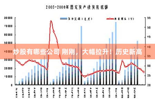 炒股有哪些公司 刚刚，大幅拉升！历史新高