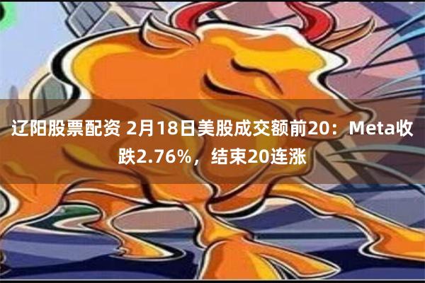 辽阳股票配资 2月18日美股成交额前20：Meta收跌2.76%，结束20连涨